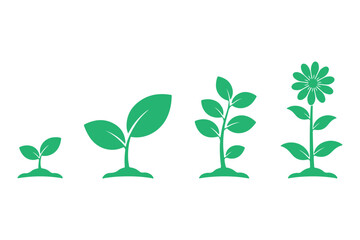 Plant growth icon stages from seedling to flowering plant. nature evolution concept