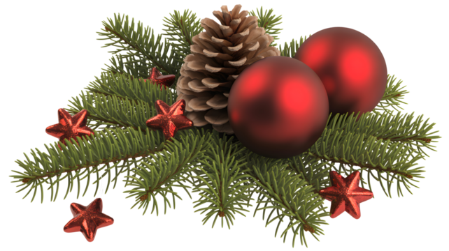 Festive christmas arrangement featuring a natural pine cone two shiny red baubles and small red star ornaments on green fir branches isolated on transparent background