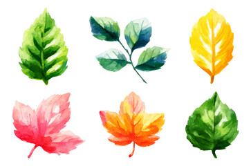 Obraz premium Colorful Hand-painted Watercolor Leaves on Transparent Background for Various Themes