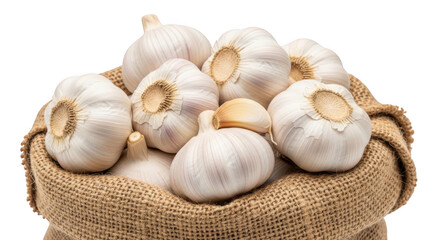 Fresh garlic bulbs in burlap sack isolated on transparent background