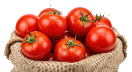 Fresh ripe red tomatoes in a burlap sack isolated on transparent background