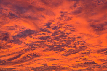 Obraz premium Natural background. Bright red sky with clouds at sunset.