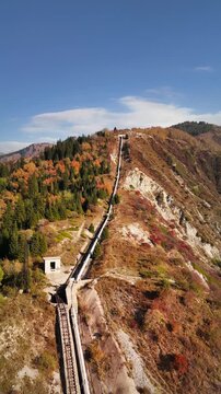 Aerial view panorama of yellow autumn forest in Almaty