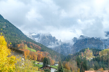 Vibrant Fall Forest with Misty Peaks and Alpine Scenery