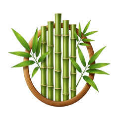 Green bamboo stalks with leaves arranged in a circle isolated on transparent background
