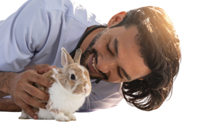 Male Veterinarian Smiling While Petting Rabbit, Compassionate Animal Doctor Concept, Isolated on Transparent Background