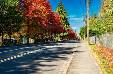 Burien Street Autumn Hues 9