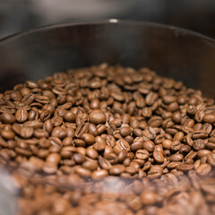 Fototapeta premium roasted coffee beans