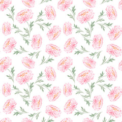 Watercolor pink peonies random on white seamless pattern