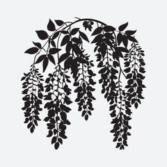 black and white flowers