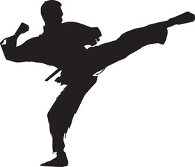 Martial artist silhouette performing high kick in dynamic pose
