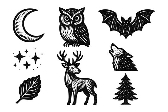 Hand drawn forest animals and nature elements in black and white