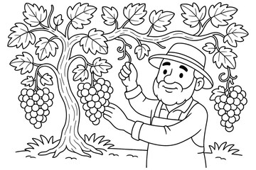 Naklejka premium Elderly farmer harvesting grapes on a vineyard in black and white outline