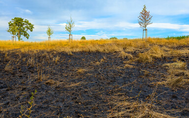 Burnt dry grass on the slope, blue sky clouds in background