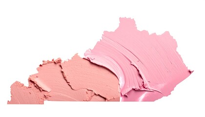 Pink and Peach Makeup Swatches on White Background.