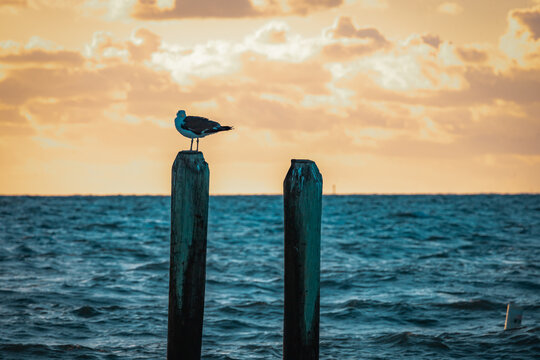 Sunrise at Buckroe Beach in Hampton, VAa