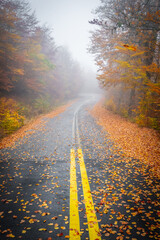 Vertical View of an Empty, Wet Winding Road Lined with Golden Leaves and Surrounded by Heavy Fog in the Pindos Mountains, Greece