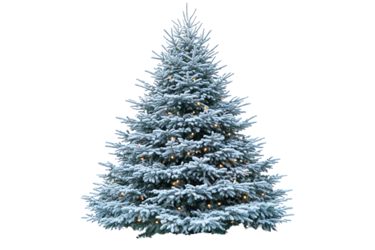 Snow-covered Christmas tree adorned with lights, perfect for festive decorations and holiday celebrations.