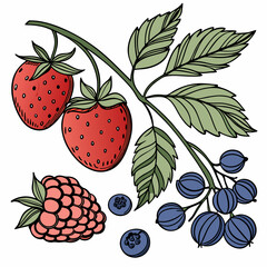 Detailed Vector Set of Berries