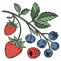 Detailed Vector Set of Berries