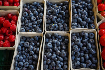 Ripe organic blueberries fruites in the recycled paper punnets ready to be sold at the farm market