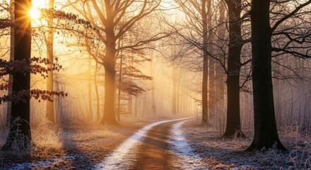 Winter forest path at sunrise with golden light. Frosty woodland landscape with a winding road. Inspirational journey and new beginnings concept. Serene nature scenery for wellness