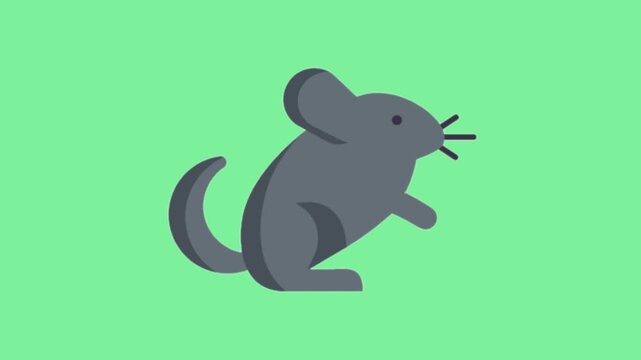 Cute animated chinchilla icon with fluffy tail hopping on a vibrant green background for motion graphics and design projects
