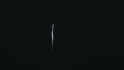 菊型単発花火 Chrysanthemum-shaped single fireworks - Powered by Adobe