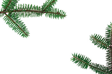 dark green pine or fir branches bordering a white background with ample empty space concept of holiday design, seasonal advertising, winter decor