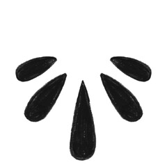 Abstract radial splash design element with organic petal shape