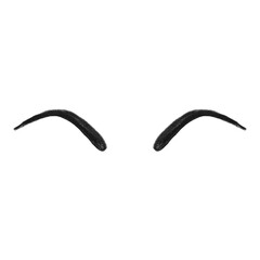 Dark arched human eyebrows isolated on a transparent background