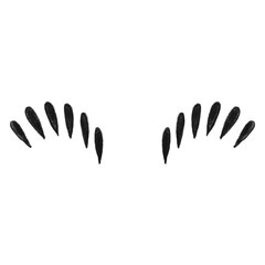 Graphic stylized eyelashes vector element for beauty concepts
