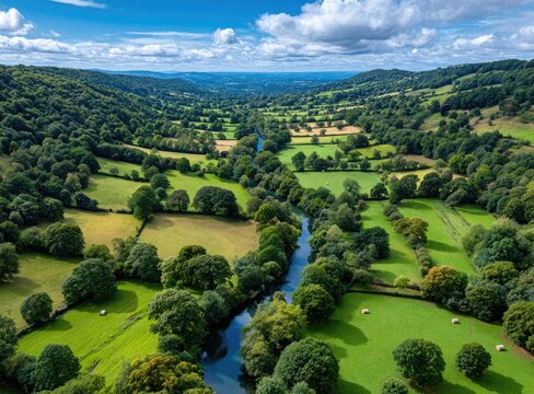 aerial view of a large field with bales and grazing cows in the english countryside, surrounded by trees and green fields