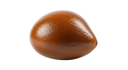 Smooth, Glossy Brown Seed Isolated on a Pure Black Background