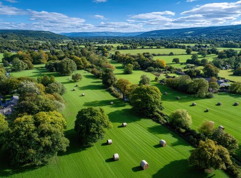 aerial view of a large field with bales and grazing cows in the english countryside, surrounded by trees and green fields