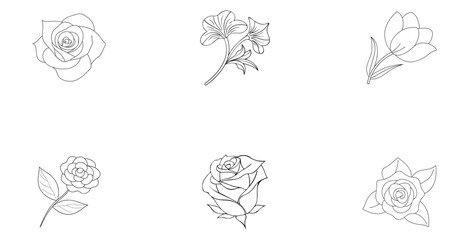 Six Outline Rose Illustrations On White Background