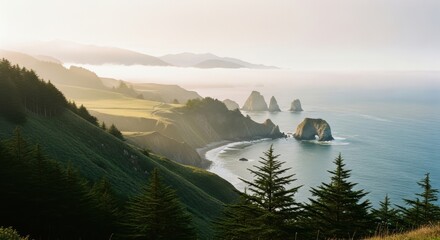 Dramatic Pacific coastline with sea stacks and green hills. Golden morning light over a foggy ocean. Outdoor adventure and travel destination. Concept for exploration and nature
