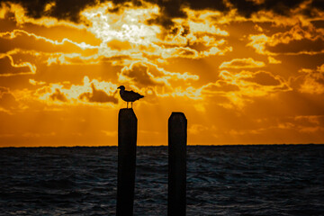 Sunrise at Buckroe Beach in Hampton, VA