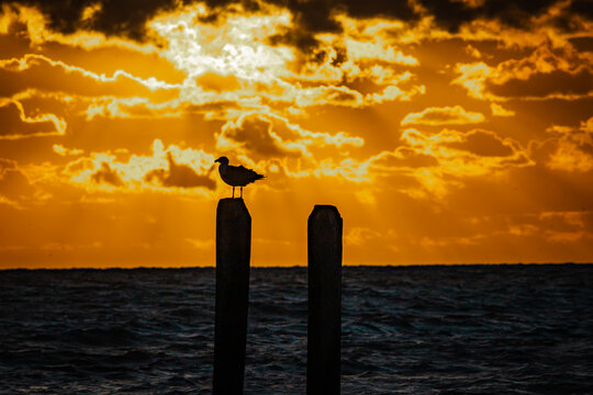 Sunrise at Buckroe Beach in Hampton, VA - Powered by Adobe