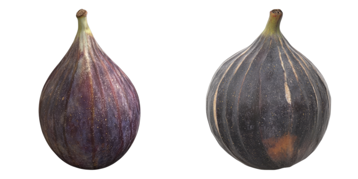 Two fresh figs are captured side by side. The figs are dark, the rich color is a testament to their ripeness