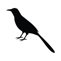 Black bird silhouette with slender body and long tail