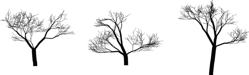 Tree vector art illustration