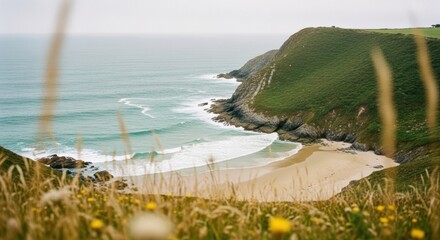 Scenic coastal view of a secluded cove. Grassy cliffs meeting a sandy beach and turquoise ocean. Natural travel destination concept. Peaceful escape and wanderlust journey