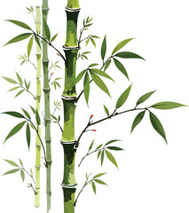 Bamboo stalks with leaves isolated on white background oriental style illustration