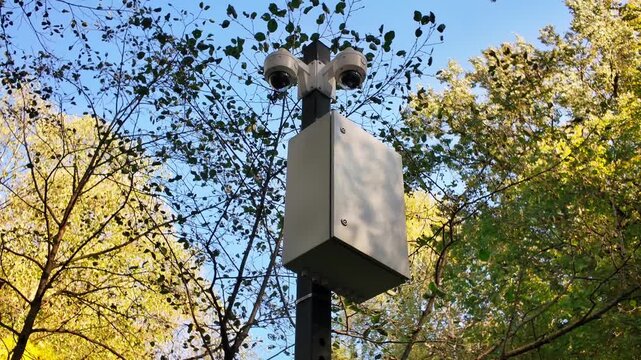 A security camera is installed in a city park, surrounded by vibrant foliage. For urban security or technology themes.