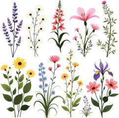 Floral bouquet illustration with a variety of colorful flowers and foliage