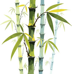 Watercolor Bamboo Forest Illustration with Lush Green Leaves and Detailed Texture