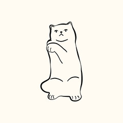 Whimsical doodle cat pose vector illustration. Cute kitten, hand drawn linear cat in different poses sitting, lying down, sleeping
