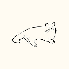Whimsical doodle cat pose vector illustration. Cute kitten, hand drawn linear cat in different poses sitting, lying down, sleeping