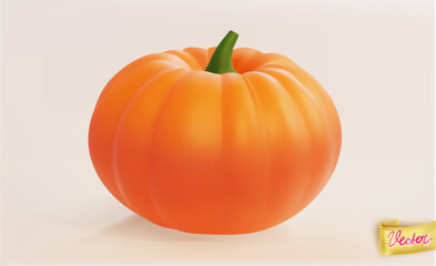 Obraz premium Realistic orange pumpkin vector isolated on white background. Perfect autumn harvest illustration for Thanksgiving, decoration, healthy food, and seasonal design projects